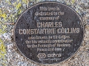 Sir Collins (id=9896)